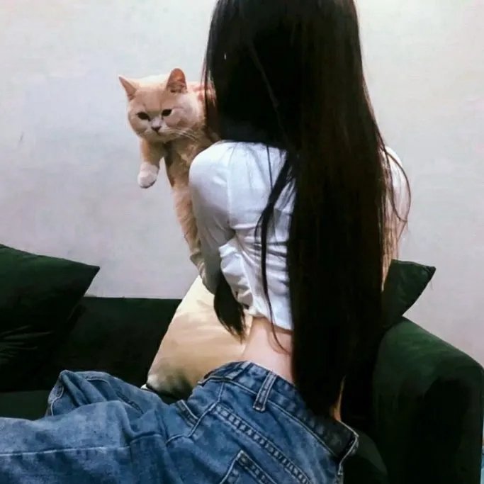 痴心儿女封面